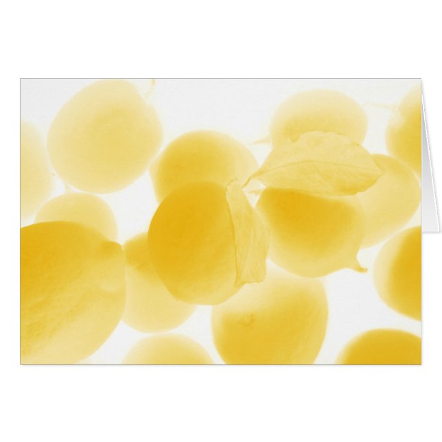 Sogno di limone (Vorderseite (Horizontal))