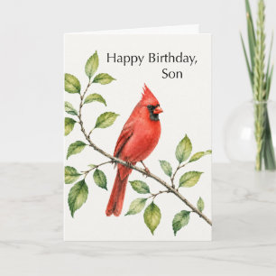 Sohn Geburtstag Roter Kardinal auf Ast Karte