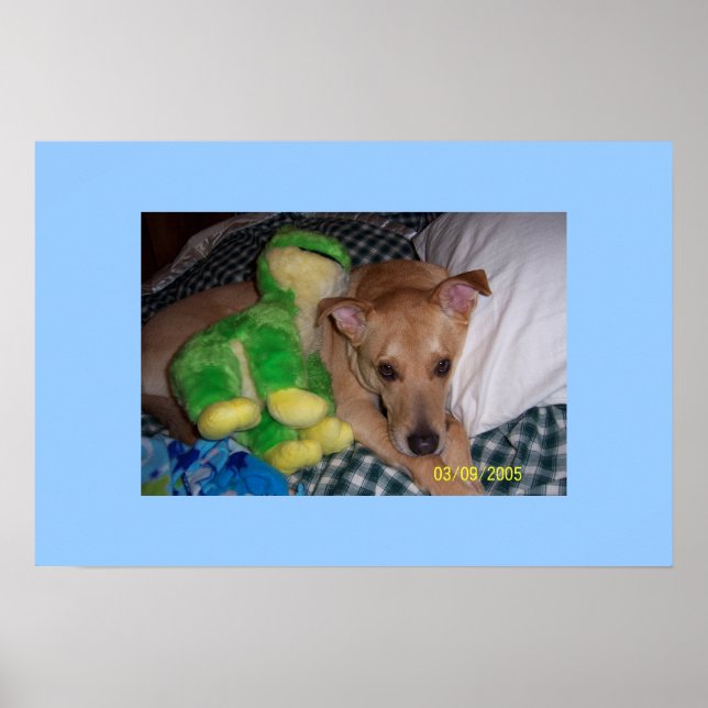 Sokrates Poster (Vorne)