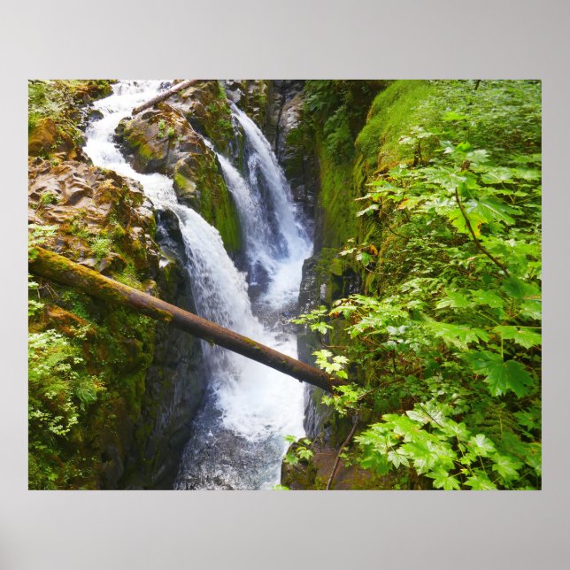 Sol Duc Falls I im Olympic-Nationalpark Poster (Vorne)