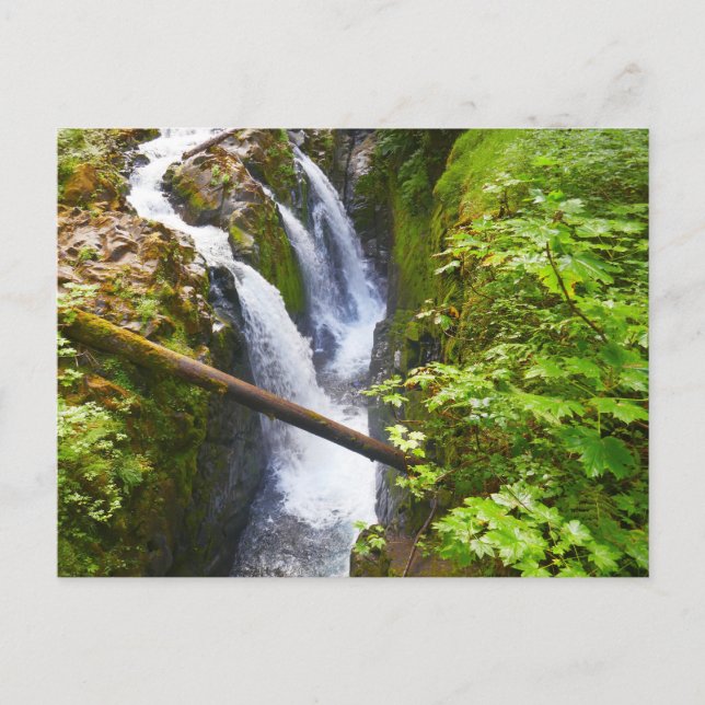 Sol Duc Falls I: Olympic National Park Postkarte (Vorderseite)