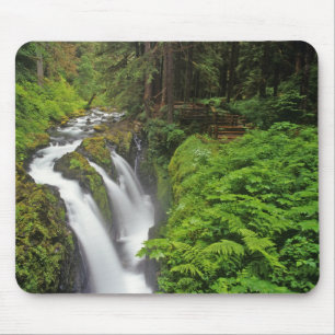 Sol Duc Falls im Olympic National Park in 2 Mousepad