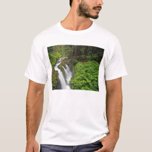 Sol Duc Falls im Olympic National Park in 2 T-Shirt