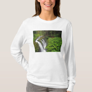 Sol Duc Falls im Olympic National Park in 2 T-Shirt