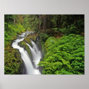 Sol Duc Falls im Olympic National Park in Poster