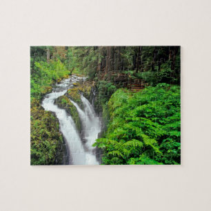 Sol Duc Falls im Olympic National Park in Puzzle