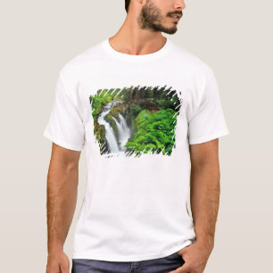 Sol Duc Falls im Olympic National Park in T-Shirt