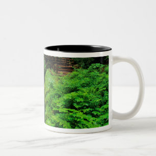 Sol Duc Falls im Olympic National Park in Zweifarbige Tasse