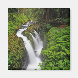 Sol Duc Falls im Olympic-Nationalpark in Magnet