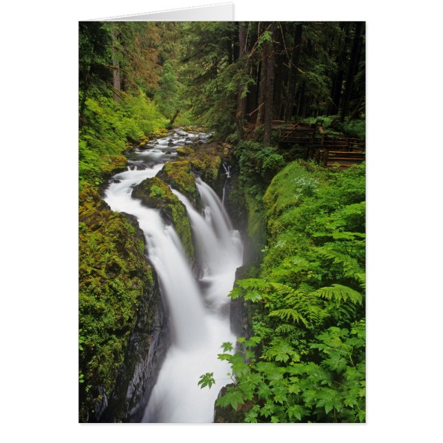 Sol Duc Falls in Olympic National Park (Vorne)