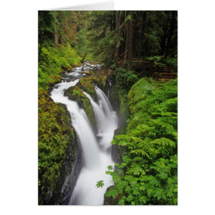 Sol Duc Falls in Olympic National Park in