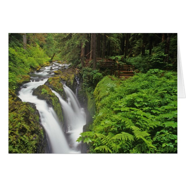 Sol Duc Falls in Olympic National Park in 2 (Vorderseite (Horizontal))