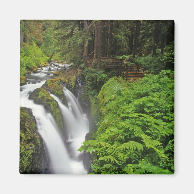 Sol Duc Falls in Olympic National Park in 2 Magnet (Vorne)