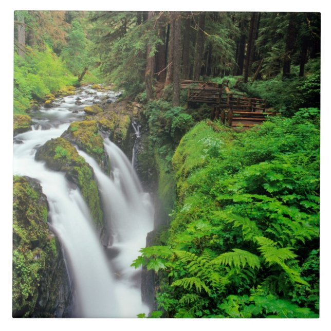 Sol Duc Falls in Olympic National Park in Fliese (Vorderseite)