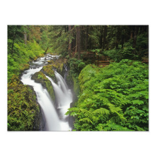 Sol Duc Falls in Olympic National Park in Fotodruck