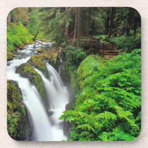 Sol Duc Falls in Olympic National Park in Untersetzer
