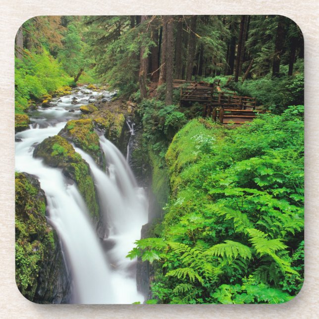 Sol Duc Falls in Olympic National Park in Untersetzer (Vorderseite)