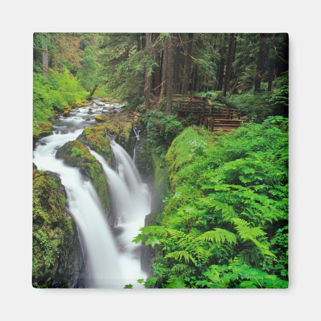 Sol Duc Falls in Olympic National Park Magnet (Vorne)