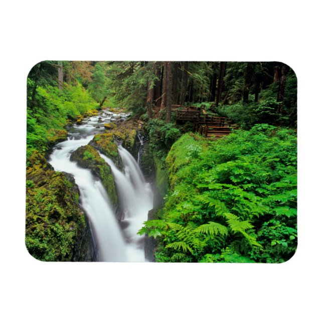 Sol Duc Falls in Olympic National Park Magnet (Horizontal)