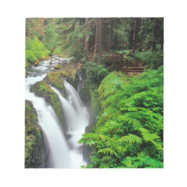 Sol Duc Falls in Olympic National Park Notizblock (Vorderseite)