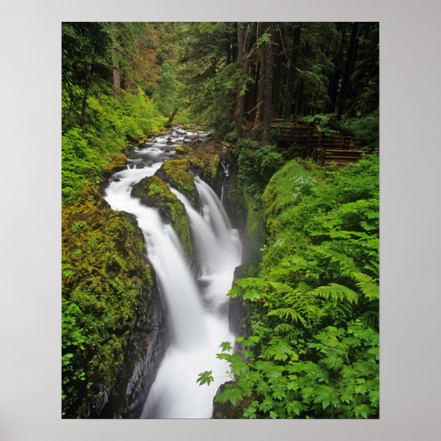 Sol Duc Falls in Olympic National Park Poster (Vorne)