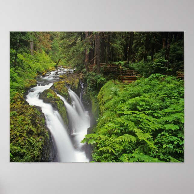 Sol Duc Falls in Olympic National Park Poster (Vorne)