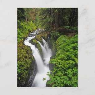 Sol Duc Falls in Olympic National Park Postkarte