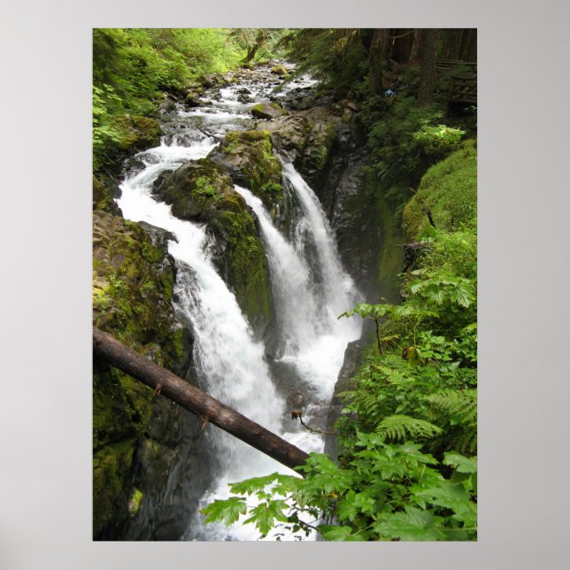 Sol Duc Falls Poster (Vorne)