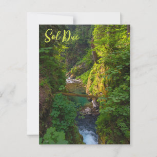 Sol Duc River Olympic National Park Washington Postkarte