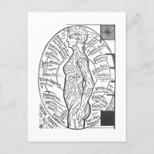 "Solar Chart: The Microcosm" Zodiac Astrologie Postkarte