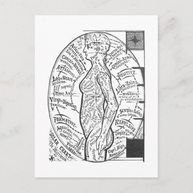 "Solar Chart: The Microcosm" Zodiac Astrologie Postkarte (Vorderseite)
