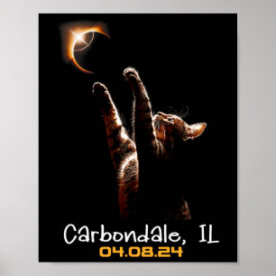 Solar Eclipse Carbondale Illinois insgesamt Poster