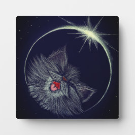 Solare CATaklyse Fotoplatte