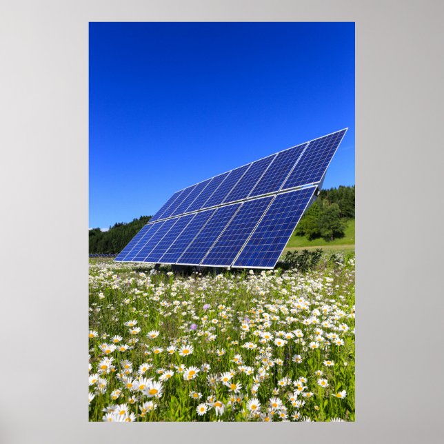 Solarpaneele Grüne Wiese Nachhaltige Energie Poster (Vorne)