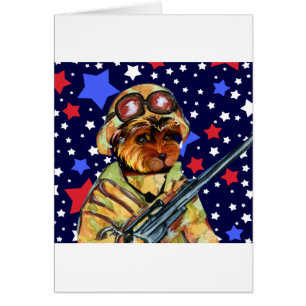 SOLDAT YORKIE POO