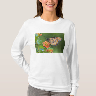 Soldier (Danaus eresimus) Schmetterling beim Fress T-Shirt