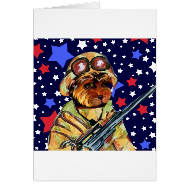 SOLDIER YORKIE POO (Vorne)