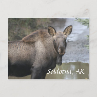 , Soldotna, AK Postkarte