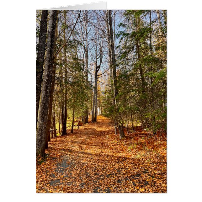 Soldotna Creek Park Herbst - 5" x 7" Kunst-Card (Vorne)