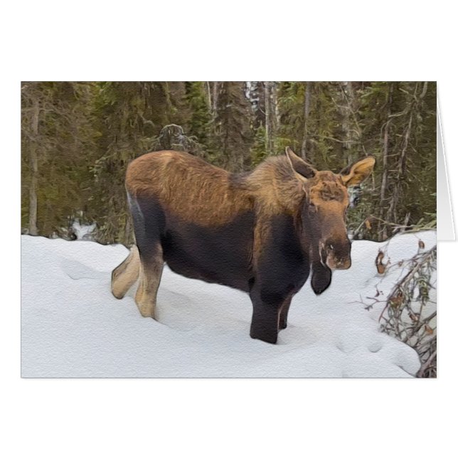 Soldotna Moose - 5" x 7" Art Card (Vorderseite (Horizontal))