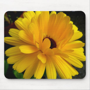 Soleil couchant! mousepad