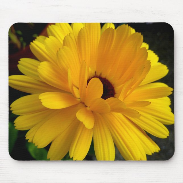 Soleil couchant! mousepad (Vorne)