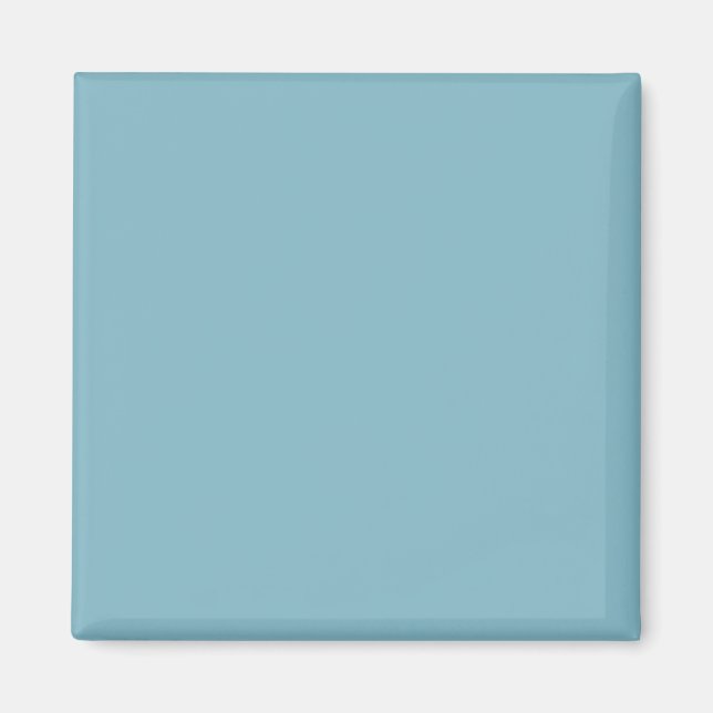 Solid Blue Pastel Tone Minimalistisch Beruflich Magnet (Vorne)