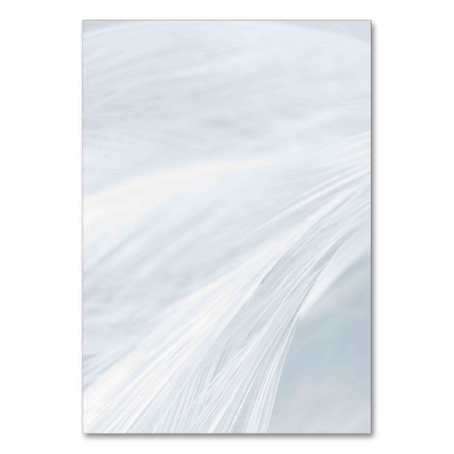 Solid Color American Tischnummer Card (Vorderseite)