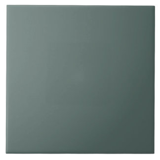 Solid Color Cool Neutral Green Undertone 2026 COTY Fliese