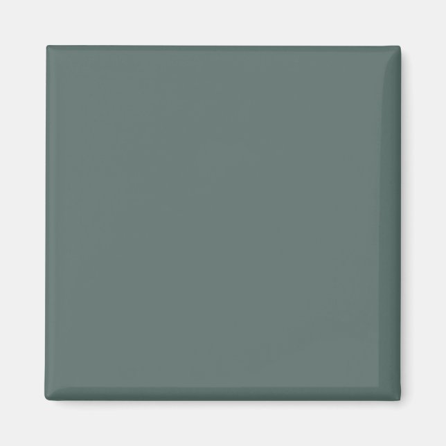 Solid Color Cool Neutral Green Undertone 2026 COTY Magnet (Vorne)