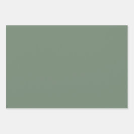 Solid Color Minimalistisch ungesättigte Olive Gree Geschenkpapier Set