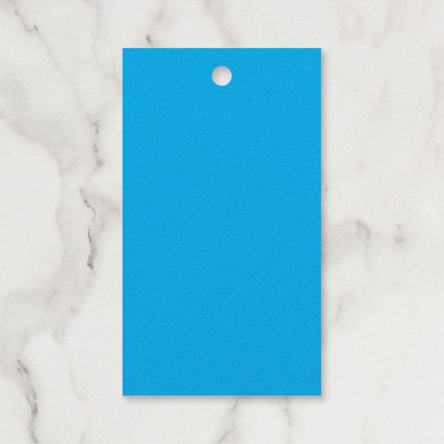 Solid Cyan Blue Background | Sommerminimalstil Geschenkanhänger (Rückseite)
