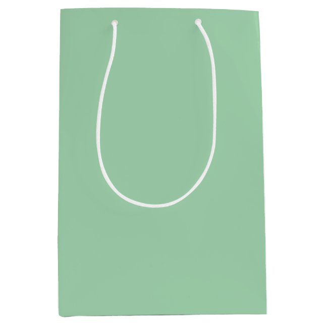 Solid Mint Green Mittlere Geschenktüte (Vorderseite)