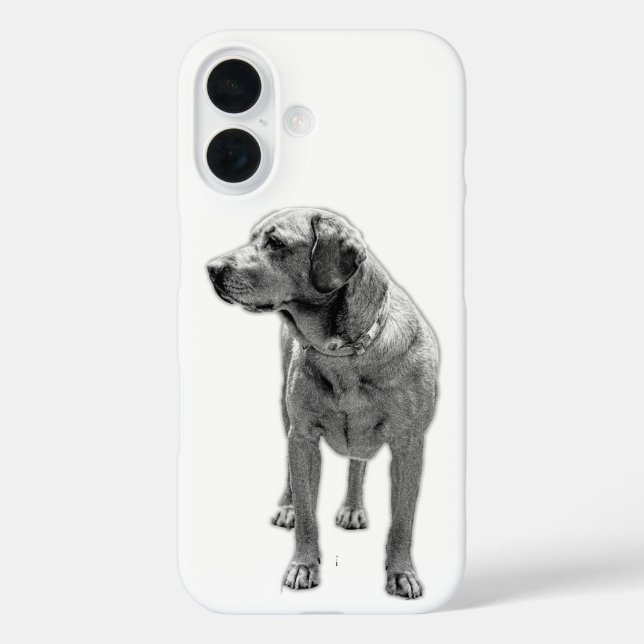 Solide Stanz, alltägliche Rüstung Case-Mate iPhone Hülle (Rückseite)